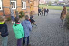 Bilder-31