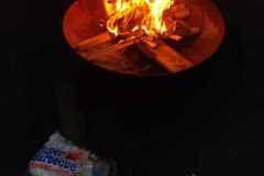 IMG-20200720-WA0013