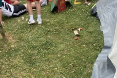 IMG_0865